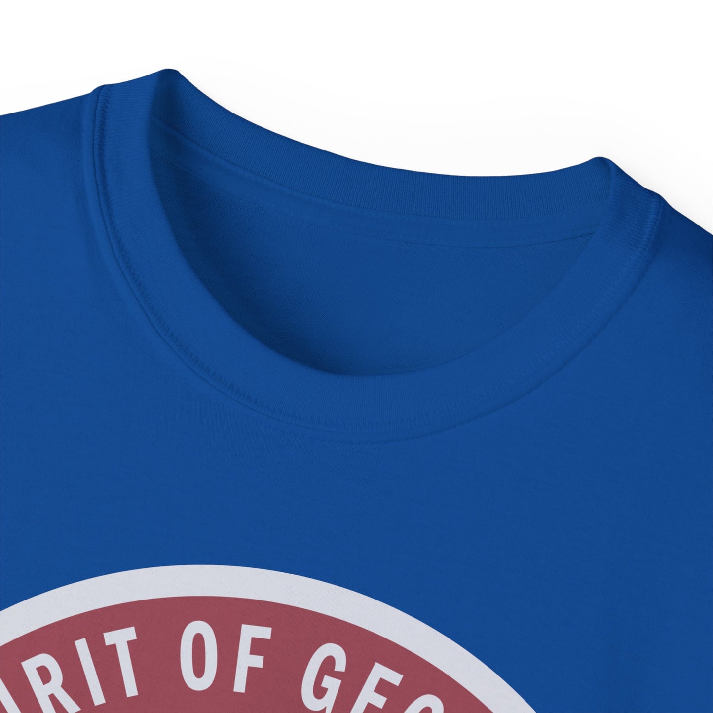 Unisex Ultra Cotton Tee - USAF - B2 - Spirit of Georgia - Stealth Bomber wo txt X 300