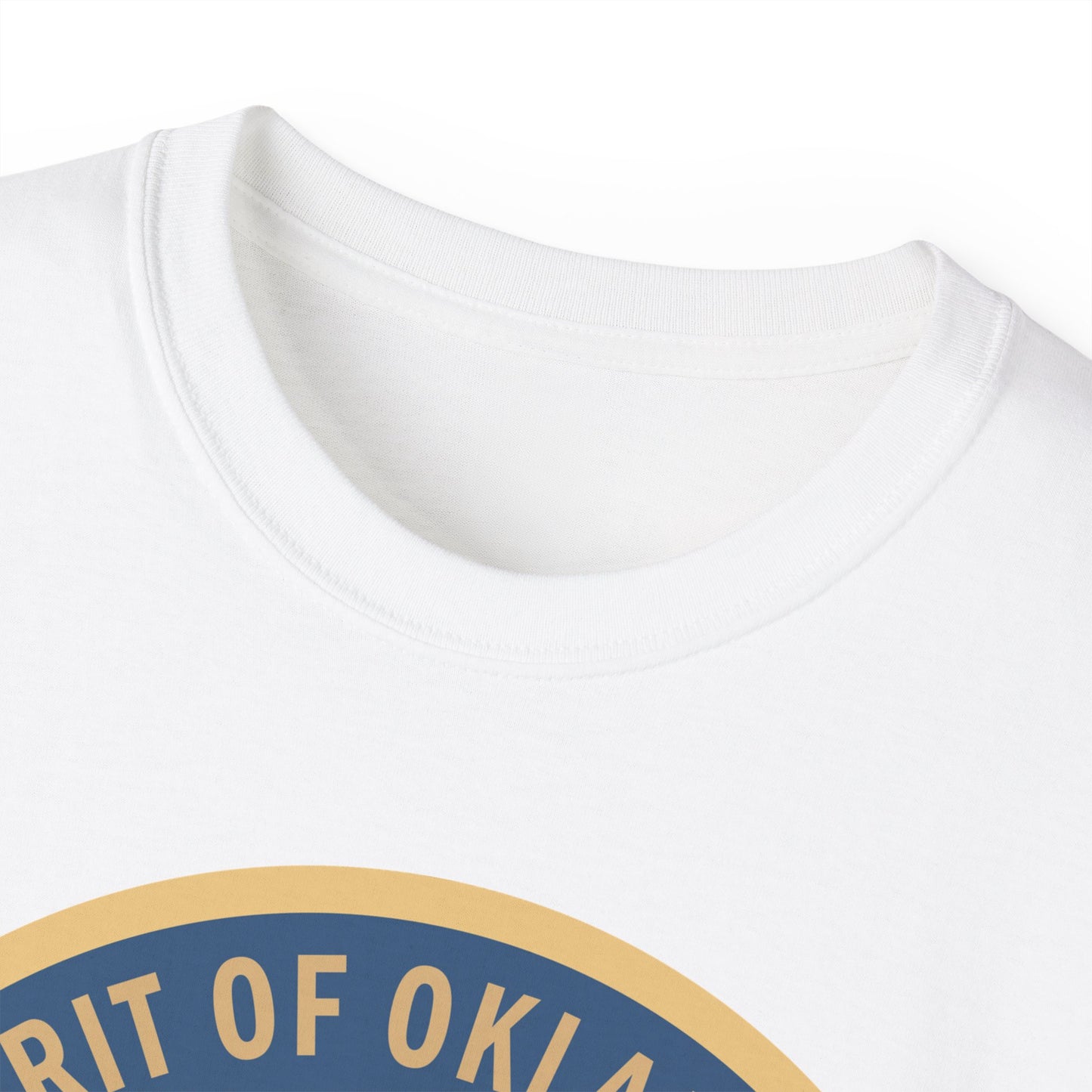 Unisex Ultra Cotton Tee - USAF - B2 - Spirit of Oklahoma - Stealth Bomber wo txt X 300