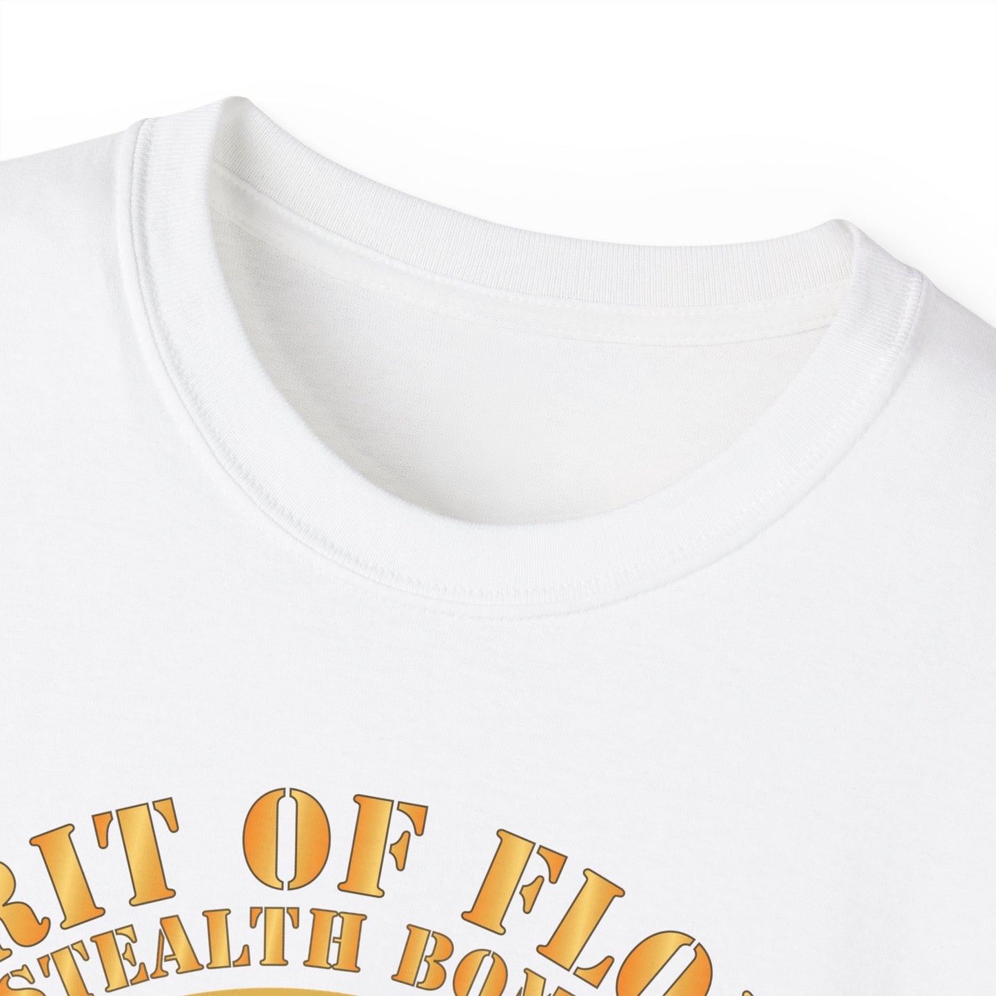 Unisex Ultra Cotton Tee - USAF - B2 - Spirit of Florida - Stealth Bomber X 300