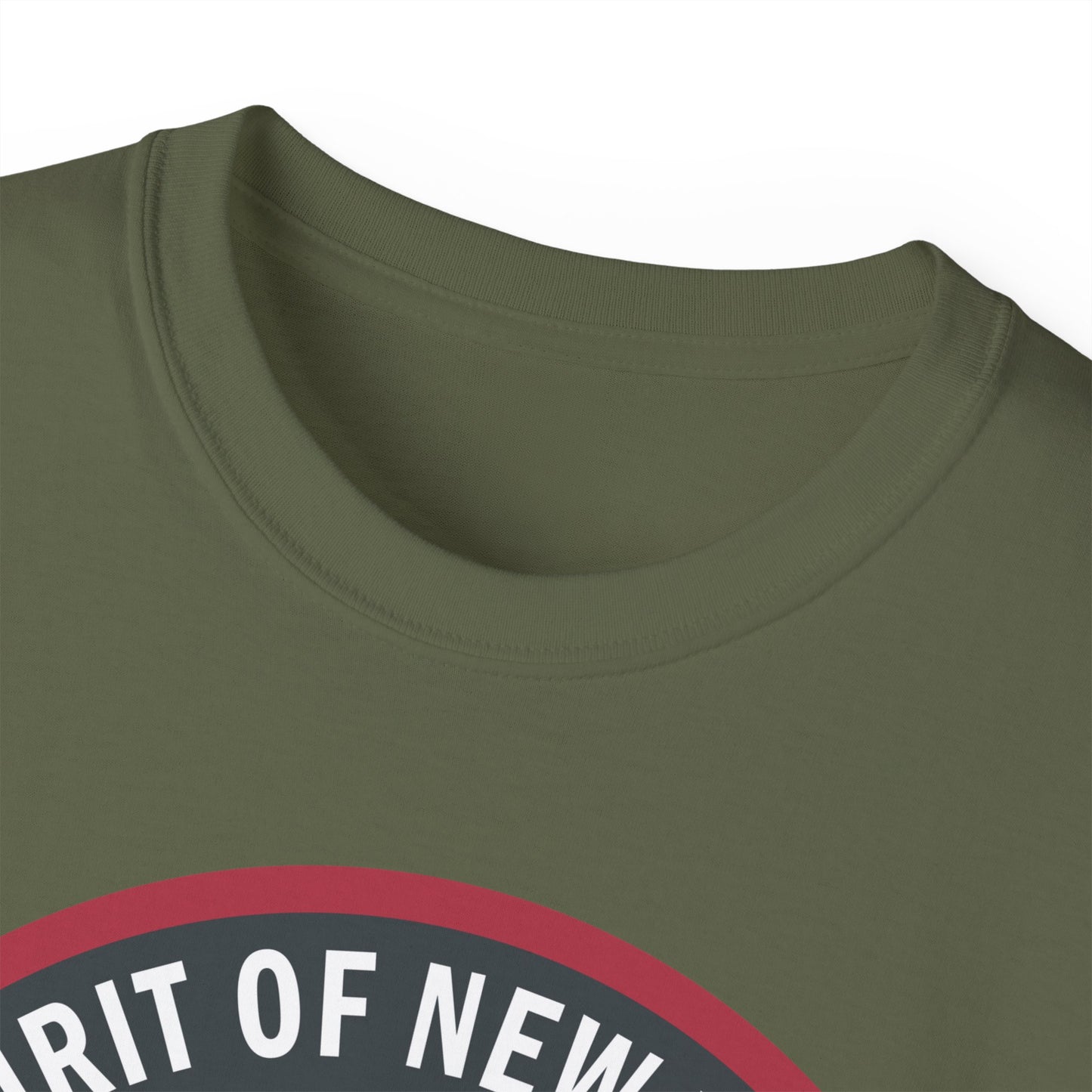 Unisex Ultra Cotton Tee - USAF - B2 - Spirit of New York - Stealth Bomber wo txt X 300
