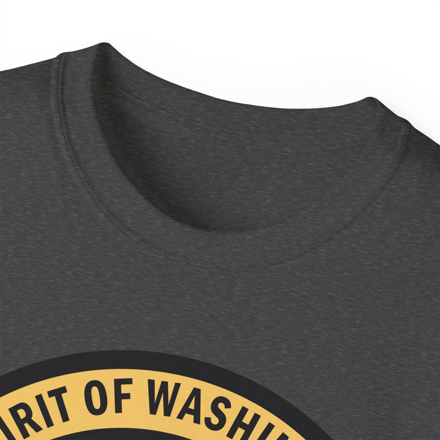 Unisex Ultra Cotton Tee - USAF - B2 - Spirit of Washington - Stealth Bomber wo txt X 300