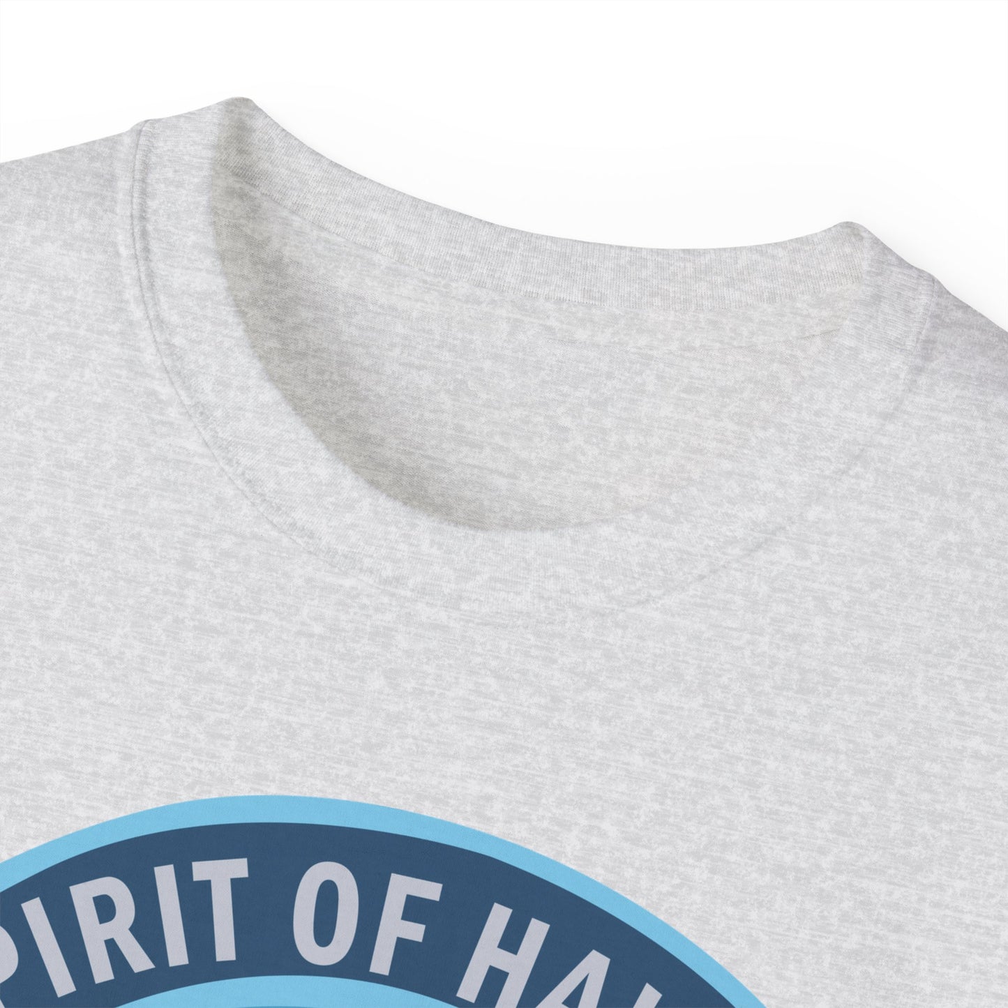 Unisex Ultra Cotton Tee - USAF - B2 - Spirit of Hawaii - Stealth Bomber wo txt X 300